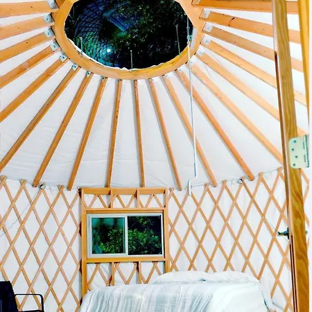 Eco Friendly Glamping Yurt In Roan Mountain Tn Hotel Exterior photo