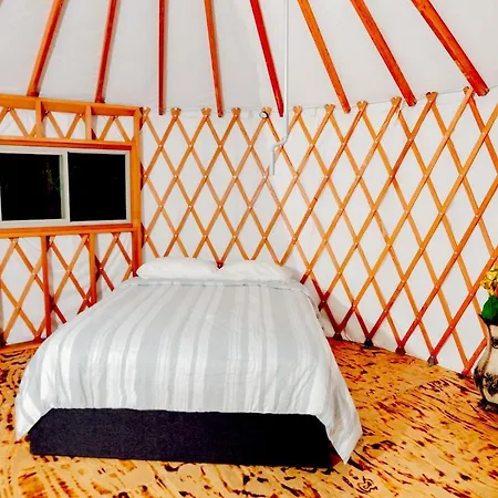 Eco Friendly Glamping Yurt In Roan Mountain Tn Hotel Exterior photo