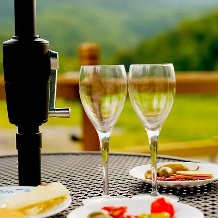 Eco Friendly Glamping Yurt In Roan Mountain Tn Hotel Exterior photo