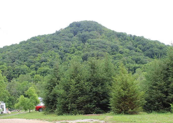 Eco Friendly Glamping Yurt In Roan Mountain Tn