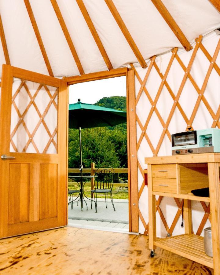 Eco Friendly Glamping Yurt In Tn Luxury tent