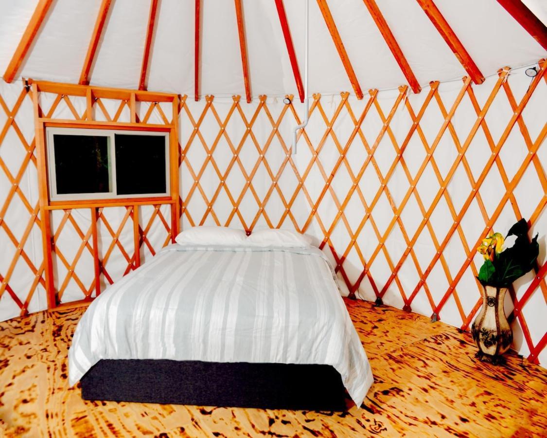 Luxury tent Eco Friendly Glamping Yurt In Tn *