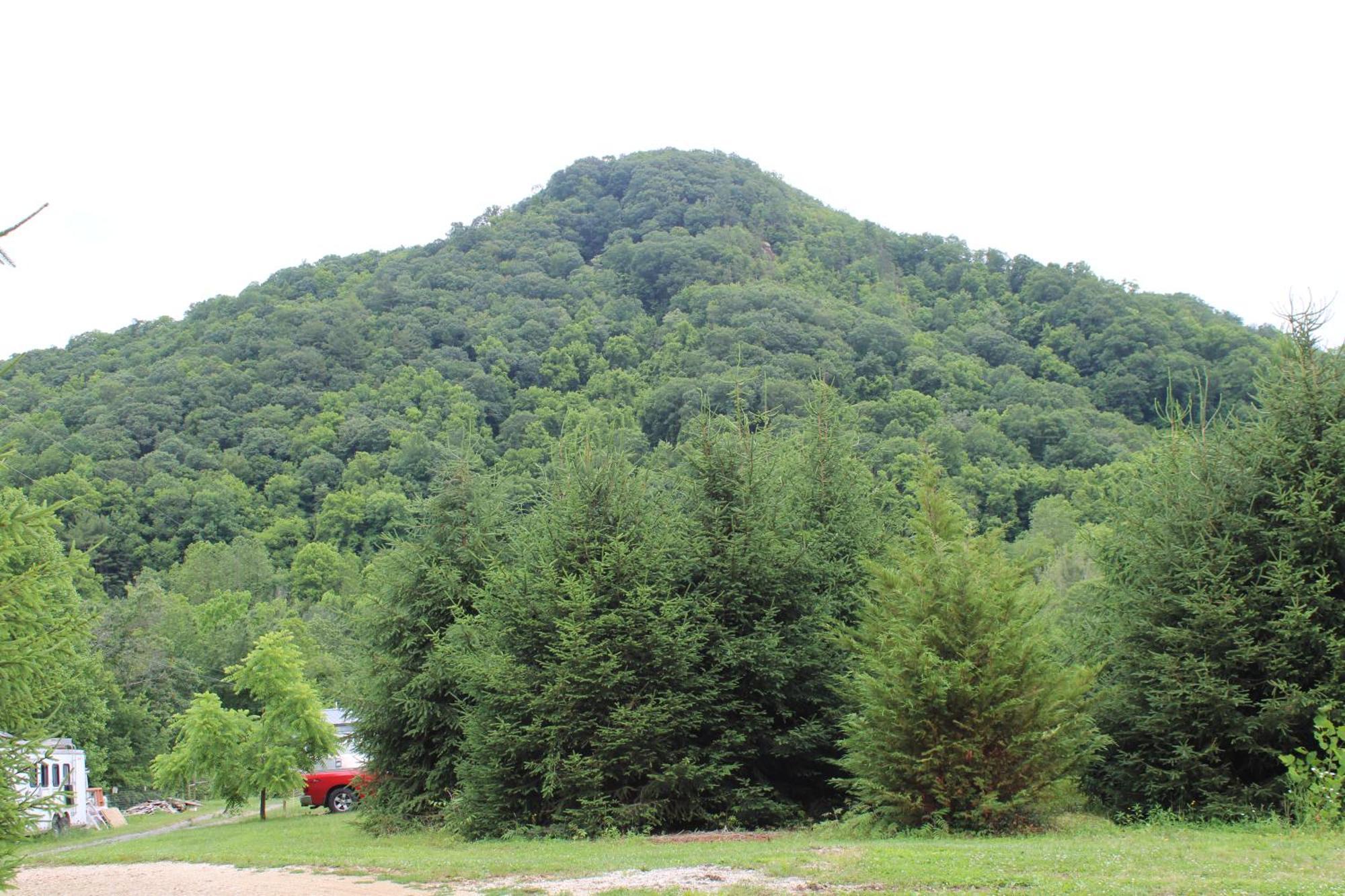 Eco Friendly Glamping Yurt In Tn Luxury tent