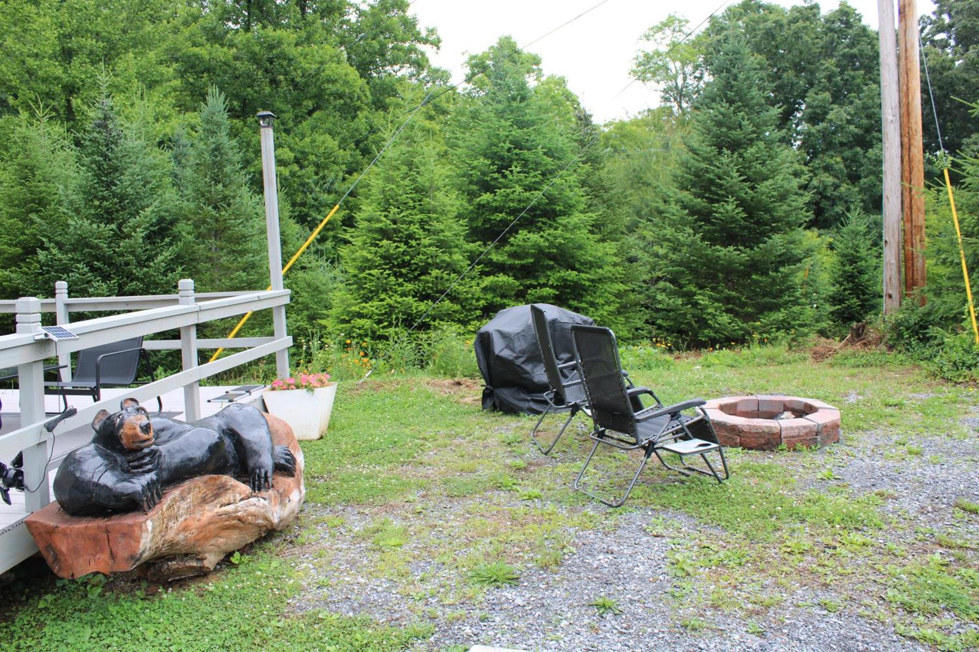 Eco Friendly Glamping Yurt In Tn